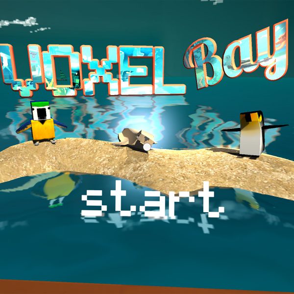 voxel-bay-1