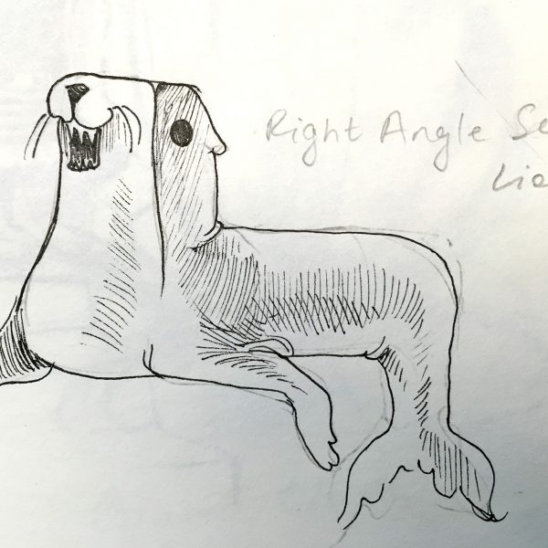 design-sealion-detail